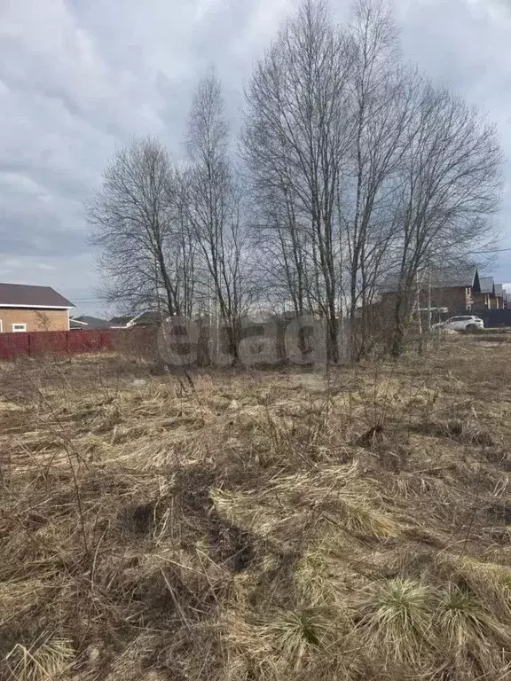 Участок в Калужская область, Боровский муниципальный округ, Совьяки ... - Фото 2