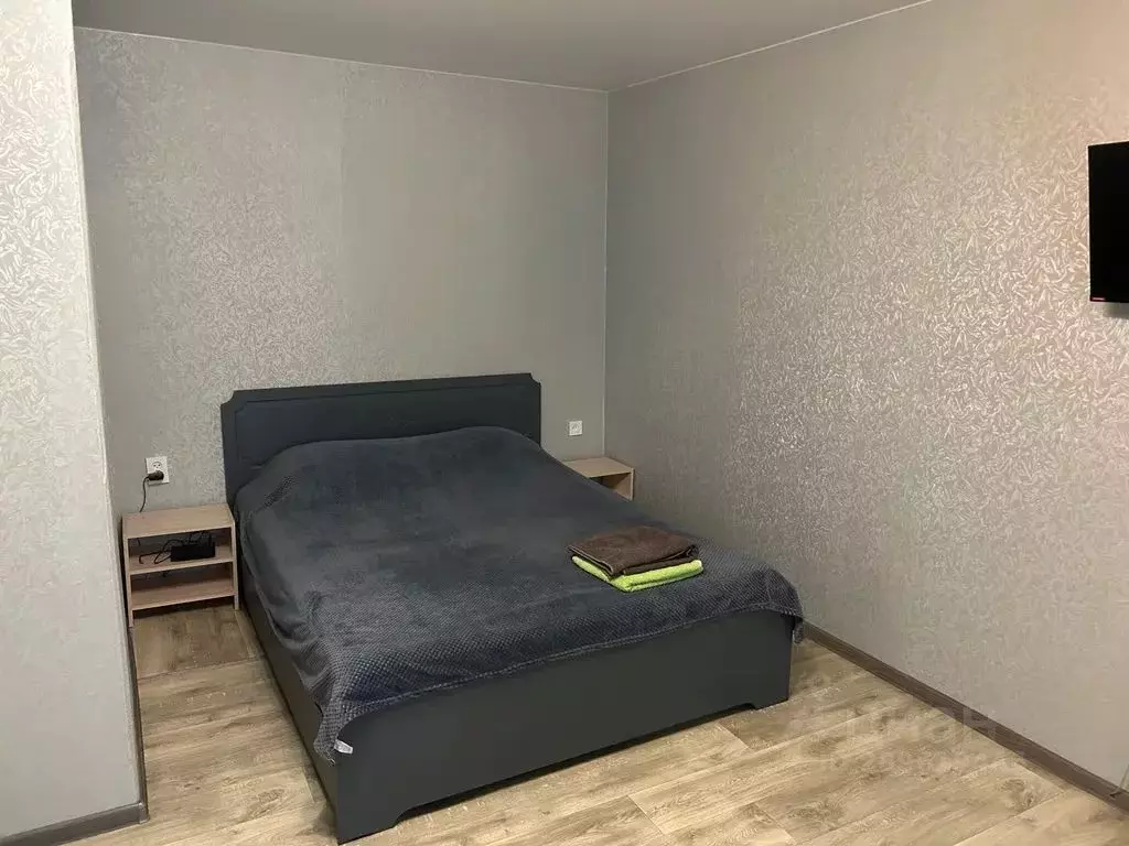 1-к кв. Воронежская область, Борисоглебск Юго-Восточный мкр, 2 (38.0 ... - Фото 2