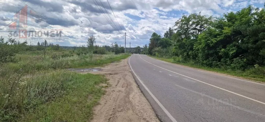 Медовка воронежская область. Перспективная 1 медовка. Воронеж медовка фото с воздуха. Медовка участки воронеж. Медовка изумрудный коттеджный поселок.