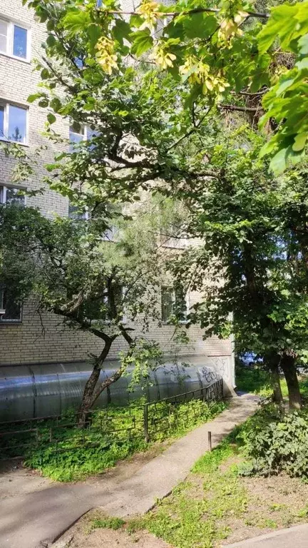 1-к кв. Московская область, Жуковский ул. Серова, 4а (30.1 м) - Фото 1