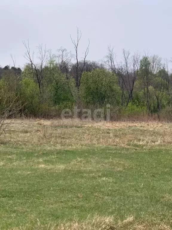 Участок в Свердловская область, Белоярский городской округ, пос. ... - Фото 0