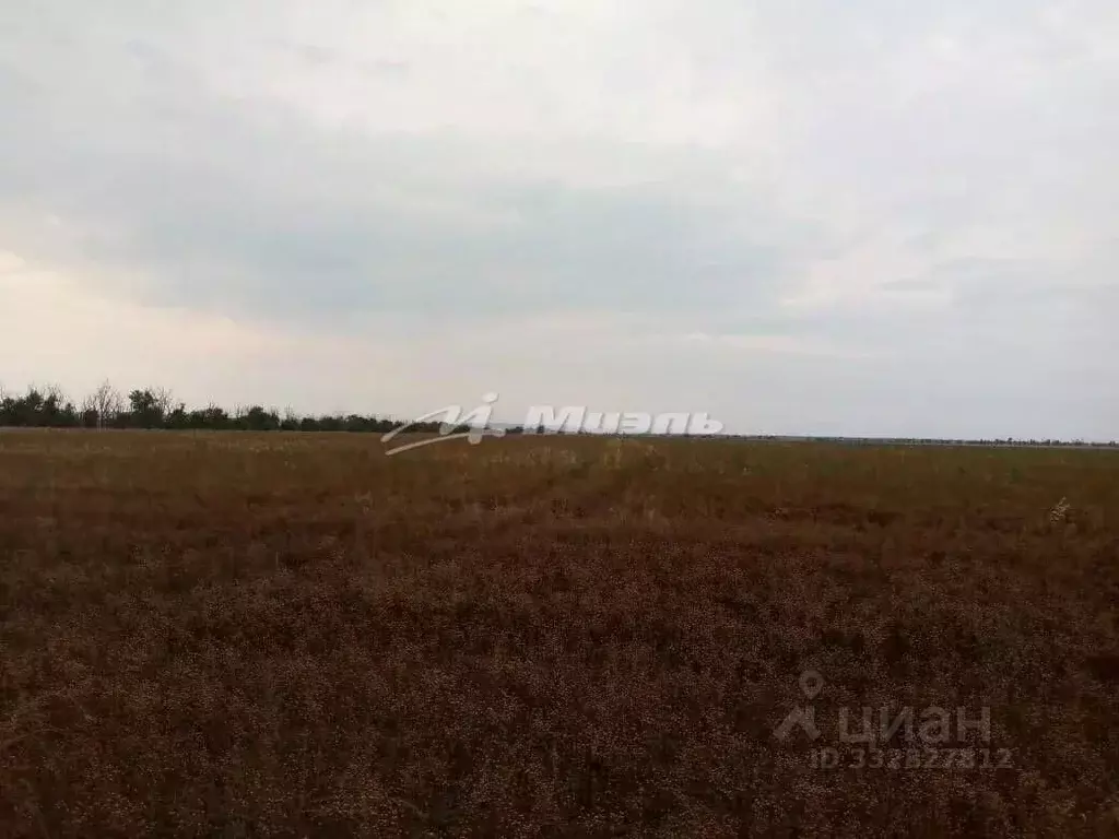 Участок в Крым, Ленинский район, с. Ильичево  (100.0 сот.) - Фото 2
