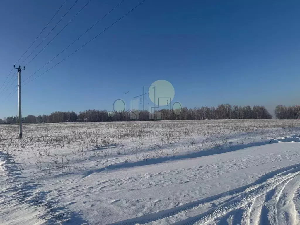 Участок в Иркутская область, Иркутский муниципальный округ, с. Урик ... - Фото 2