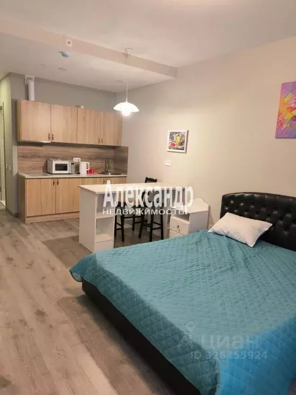 Студия Санкт-Петербург Витебский просп., 99к1 (32.0 м) - Фото 2