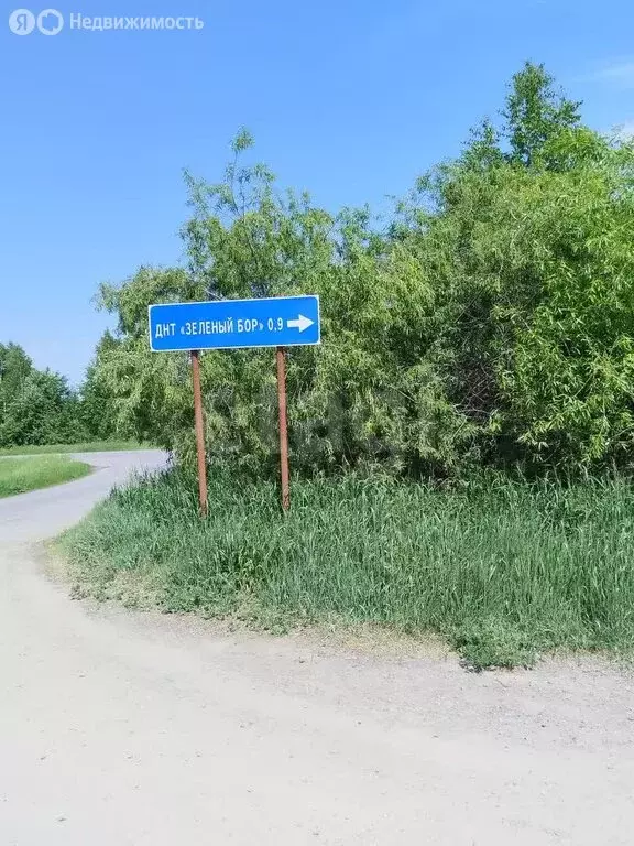 Участок в Тюмень, ДНТСН Зелёный Бор, Центральная улица (20 м) - Фото 1