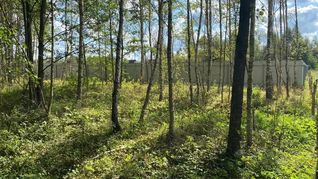 Участок в Московская область, Чехов городской округ, д. Сенино  (5.0 ... - Фото 1