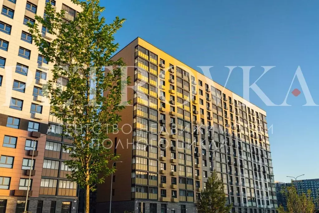 Помещение свободного назначения в Московская область, Пушкино ул. ... - Фото 1