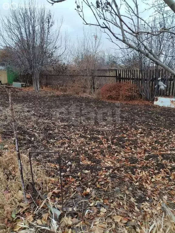 Дом в Ивановский сельсовет, СНТ Родина (30 м) - Фото 2