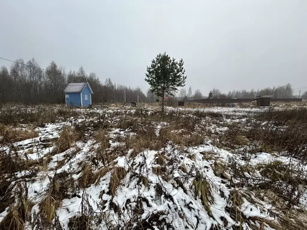 Участок в Владимирская область, Киржачский район, Кипревское ... - Фото 0