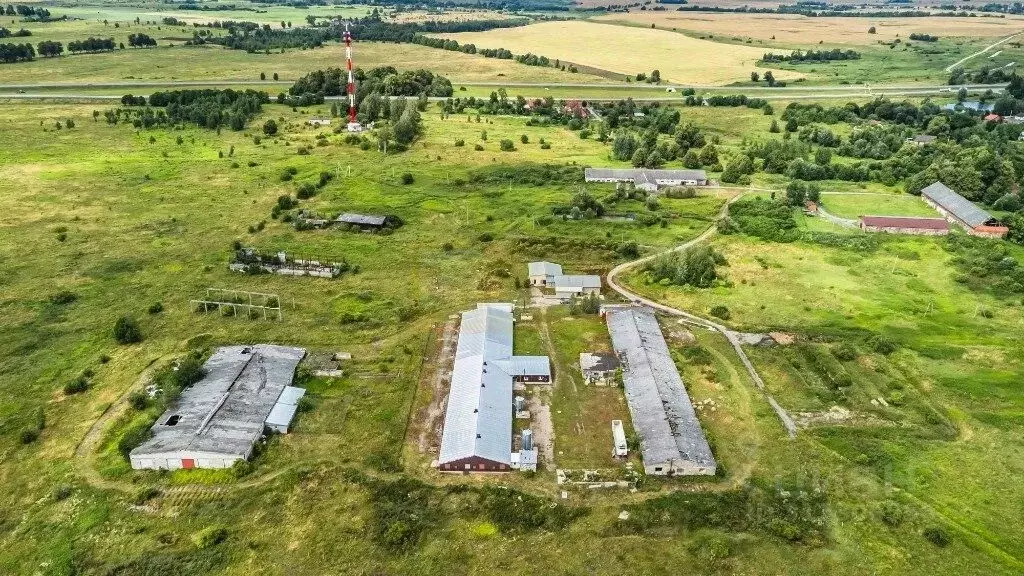 Производственное помещение в Калининградская область, Гвардейский ... - Фото 2