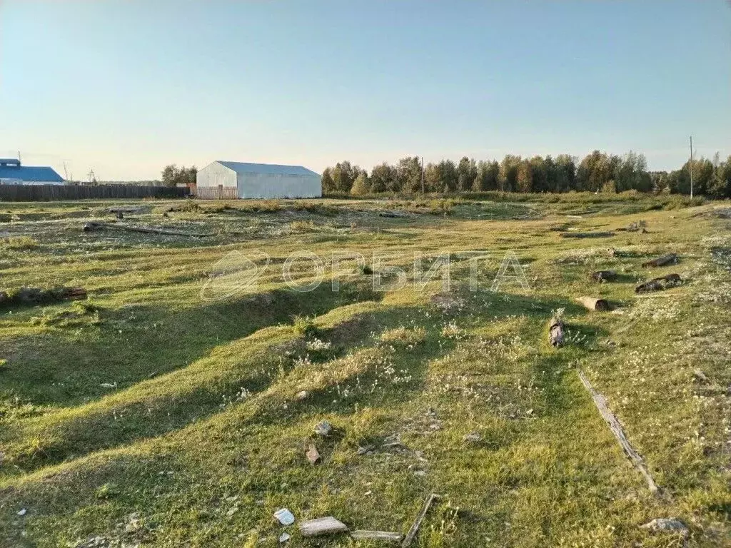 Участок в Тюменская область, Ярковский муниципальный округ, д. Мотуши  ... - Фото 0