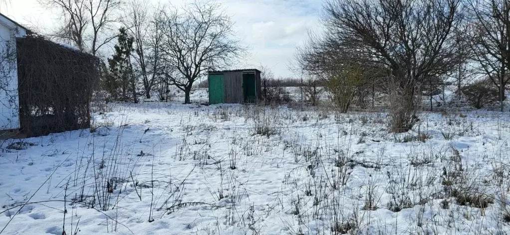 Участок в Ростовская область, Ростов-на-Дону Урожай садовое ... - Фото 0