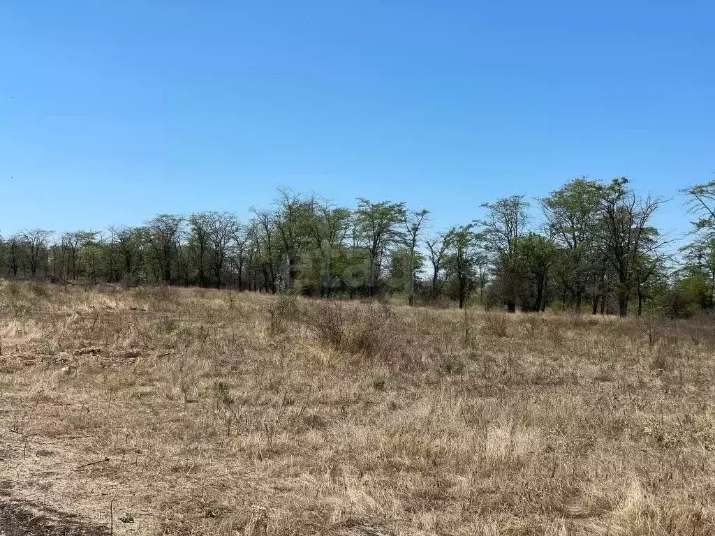 Участок в Крым, Симферопольский район, с. Мирное  (18.13 сот.) - Фото 2