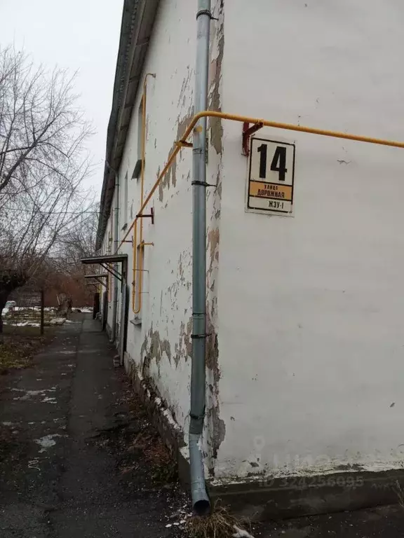 3-к кв. Алтайский край, Новоалтайск Дорожная ул., 14 (54.3 м) - Фото 1