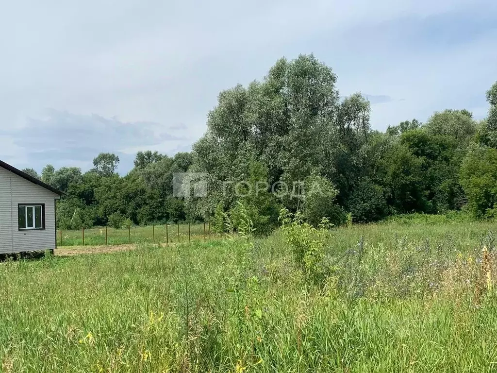 Участок в Алтайский край, Первомайский район, с. Санниково ул. ... - Фото 1