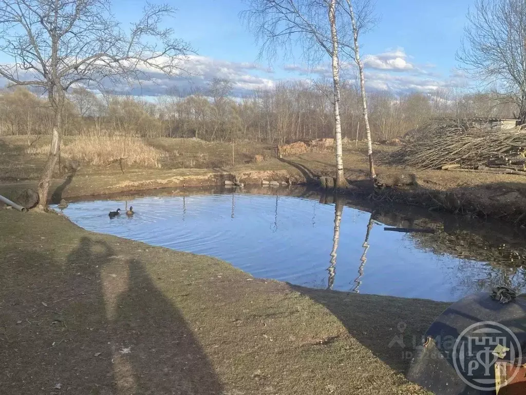 Дом в Новгородская область, Батецкий муниципальный округ, д. Русыня 16 ... - Фото 2