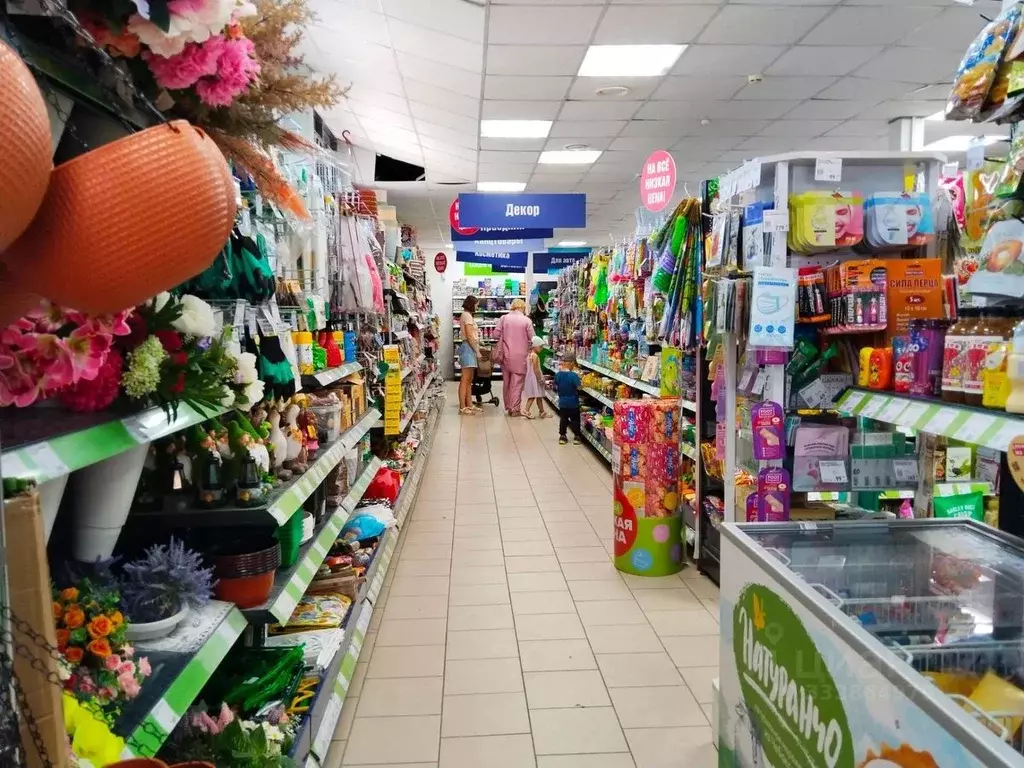 Помещение свободного назначения в Московская область, Химки Сходня ... - Фото 2