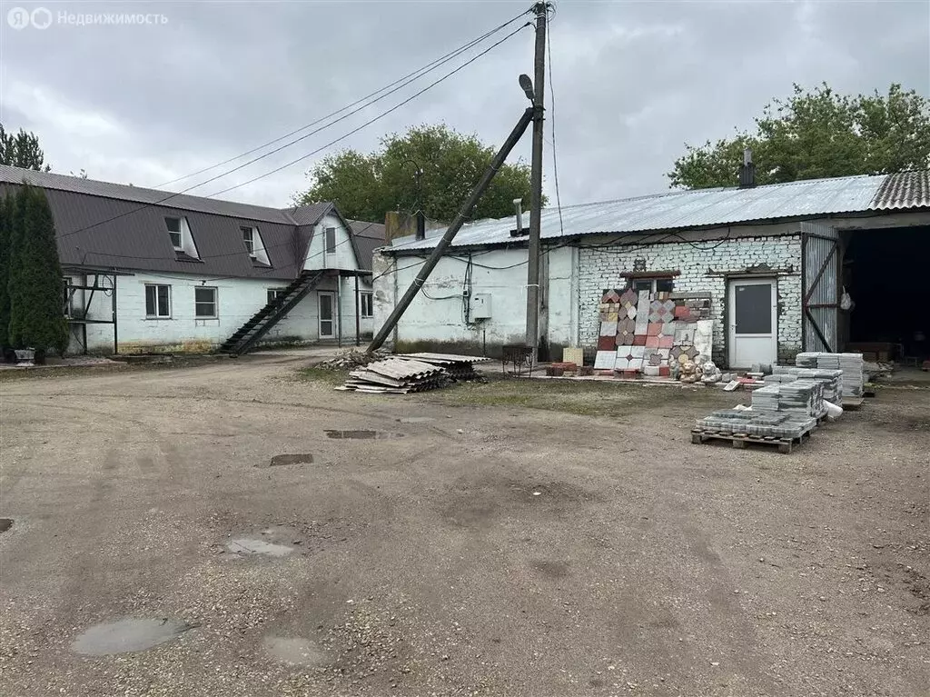 Помещение свободного назначения (1000 м) - Фото 1