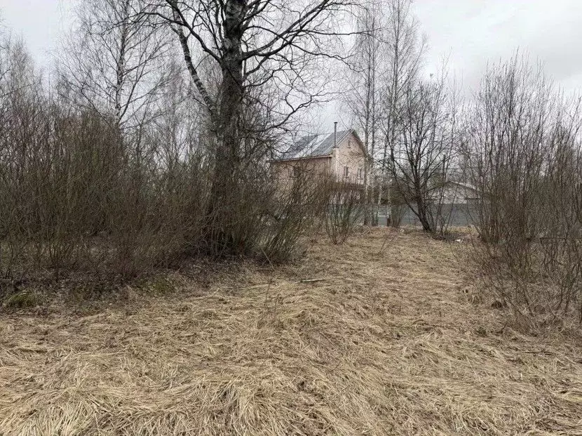 Участок в Московская область, Орехово-Зуевский городской округ, пос. ... - Фото 1