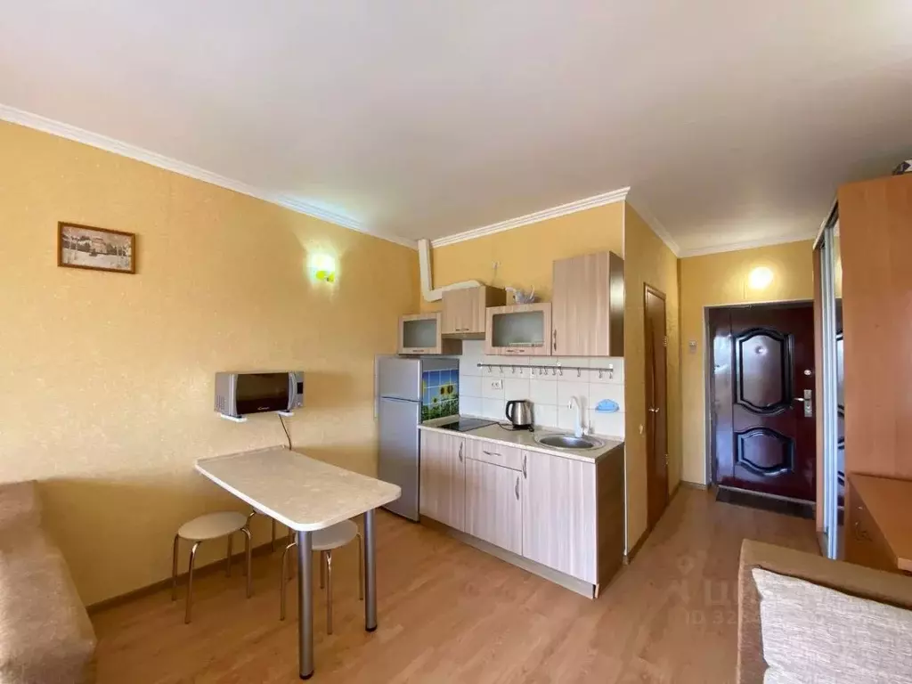 Студия Крым, Сакский район, с. Молочное ул. Первомайская, 95 (32.0 м) - Фото 2
