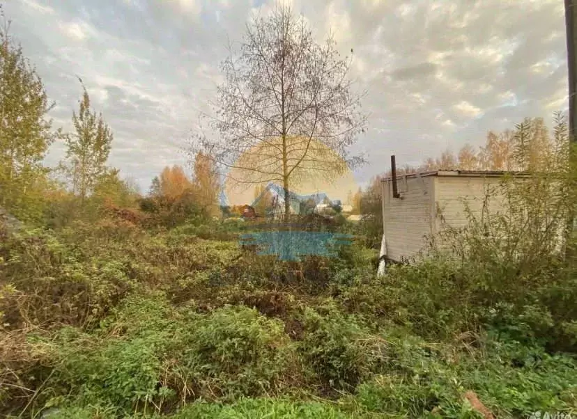 Участок в Тверская область, Конаковский муниципальный округ, Речицы ... - Фото 1