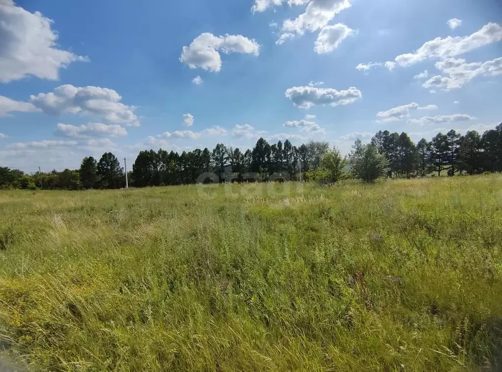 Участок в Белгородская область, Бирюч Красногвардейский район, ул. 8 ... - Фото 0