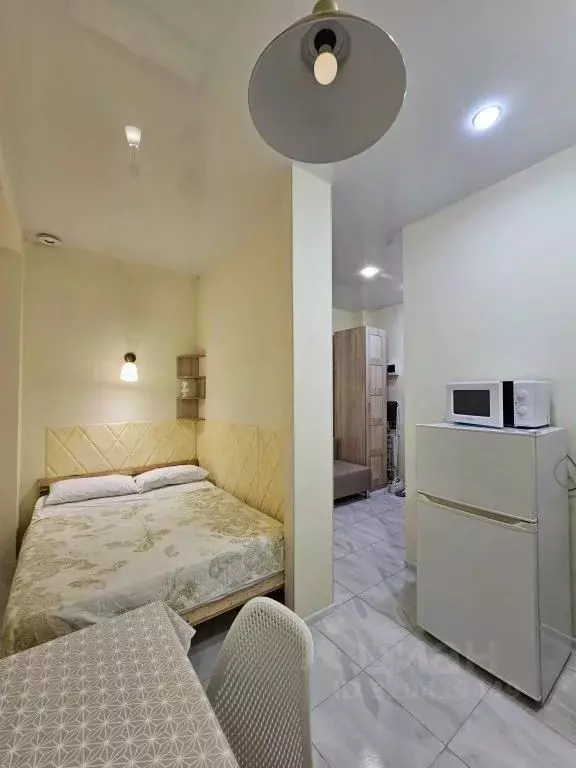 1-к кв. Краснодарский край, Сочи Сириус пгт, ул. Тюльпанов (20.0 м) - Фото 0