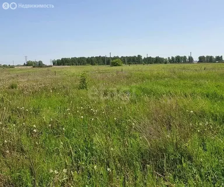 Участок в Курганская область, Кетовский муниципальный округ, ... - Фото 1