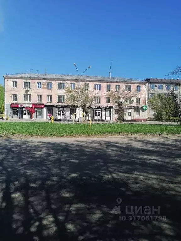 1-к кв. Алтайский край, Барнаул просп. Ленина, 150 (31.5 м) - Фото 0