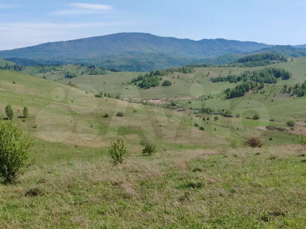 Участок 38 га (СНТ, ДНП) - Фото 0