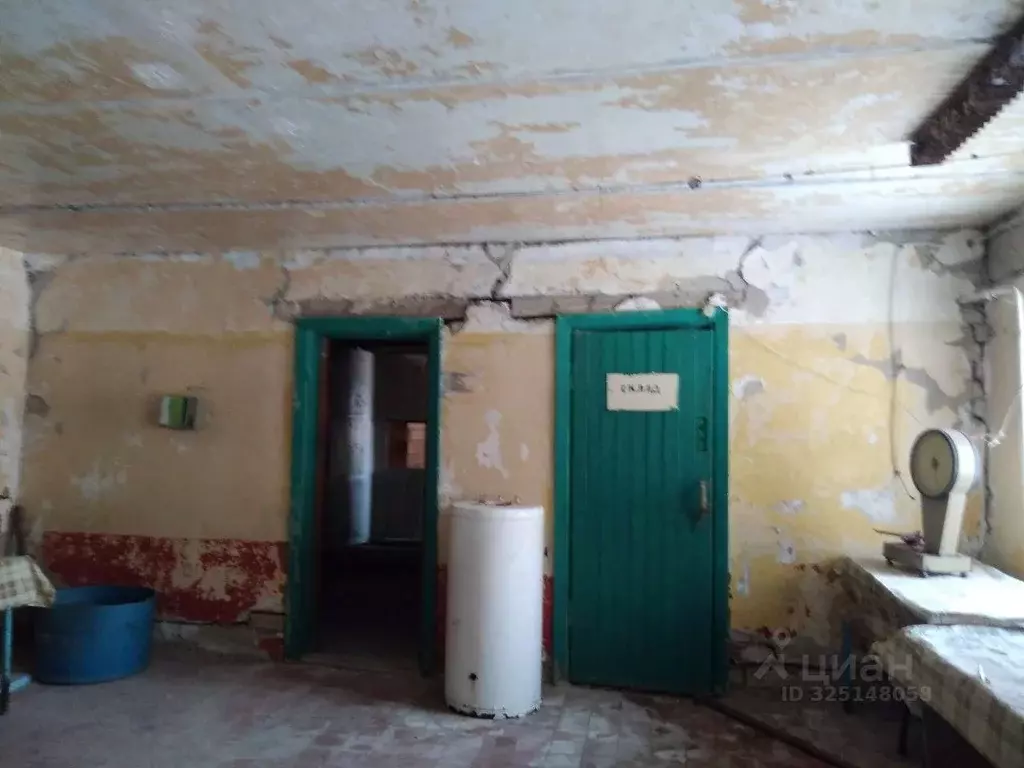 Производственное помещение в Нижегородская область, Краснобаковский ... - Фото 1