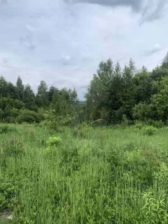 Участок в Калужская область, Калуга Московская ул. (6.0 сот.) - Фото 2