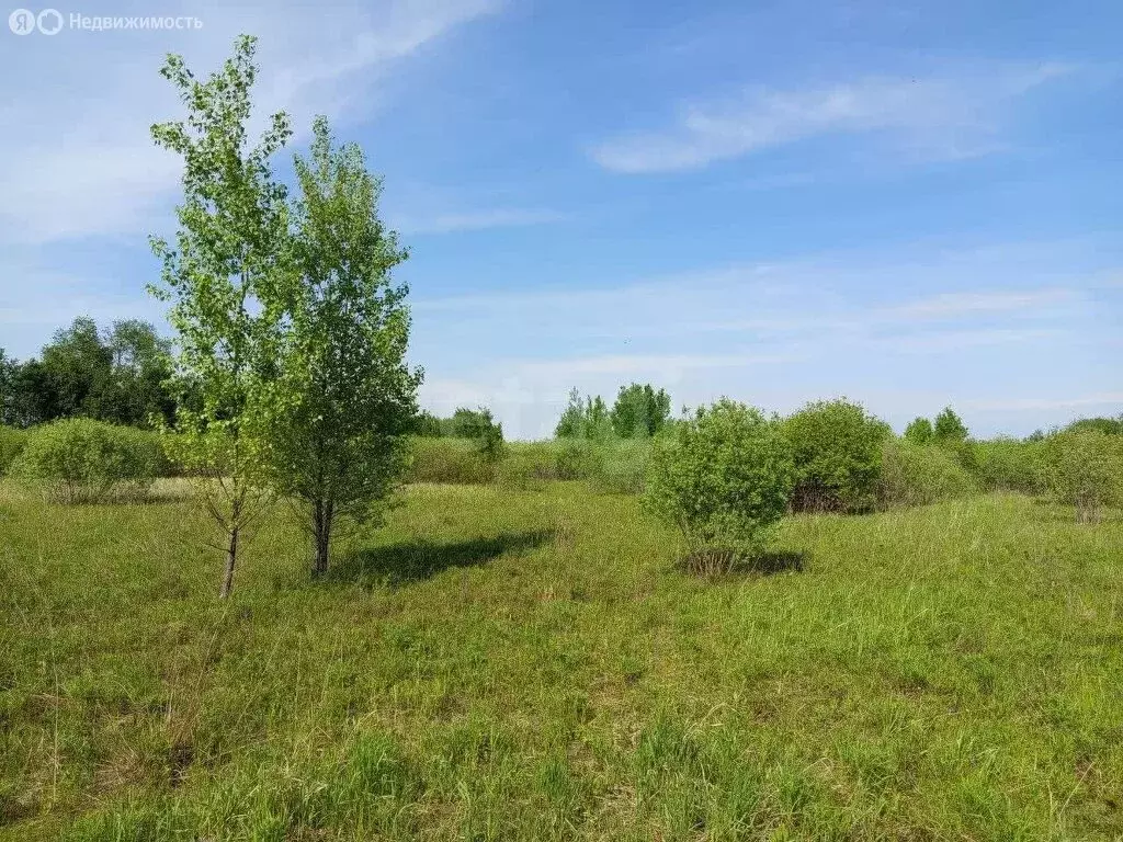 Участок в Тюменский район, село Борки (44.33 м) - Фото 1