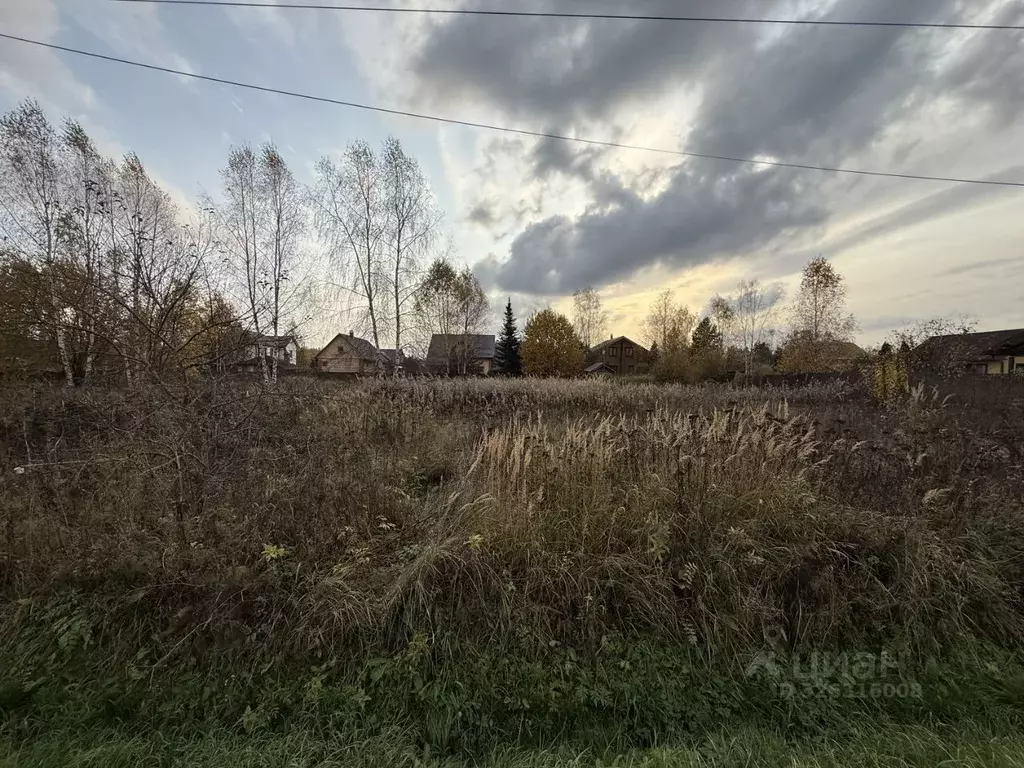 Участок в Владимирская область, Александровский муниципальный округ, ... - Фото 2