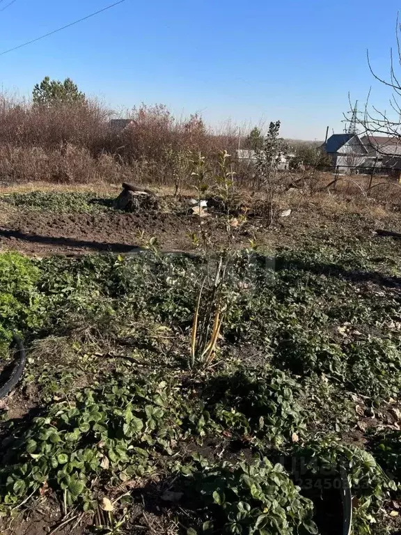 Участок в Оренбургская область, Оренбургский район, Ленинский ... - Фото 2