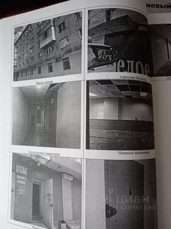 Помещение свободного назначения в Самарская область, Тольятти ул. ... - Фото 1