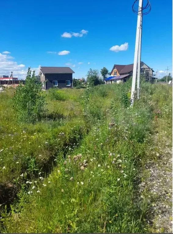 Участок в Вологодская область, д. Родионцево ул. Подковная (9.19 сот.) - Фото 1