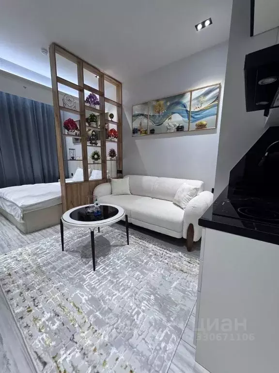 Студия Татарстан, Казань ул. Николая Ершова, 66А (30.0 м) - Фото 2