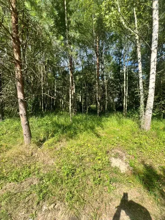 Участок в Владимирская область, Киржачский муниципальный округ, д. ... - Фото 2