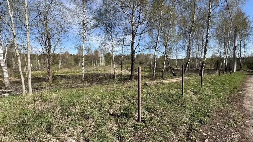 Участок в Московская область, Богородский городской округ, с. ... - Фото 1