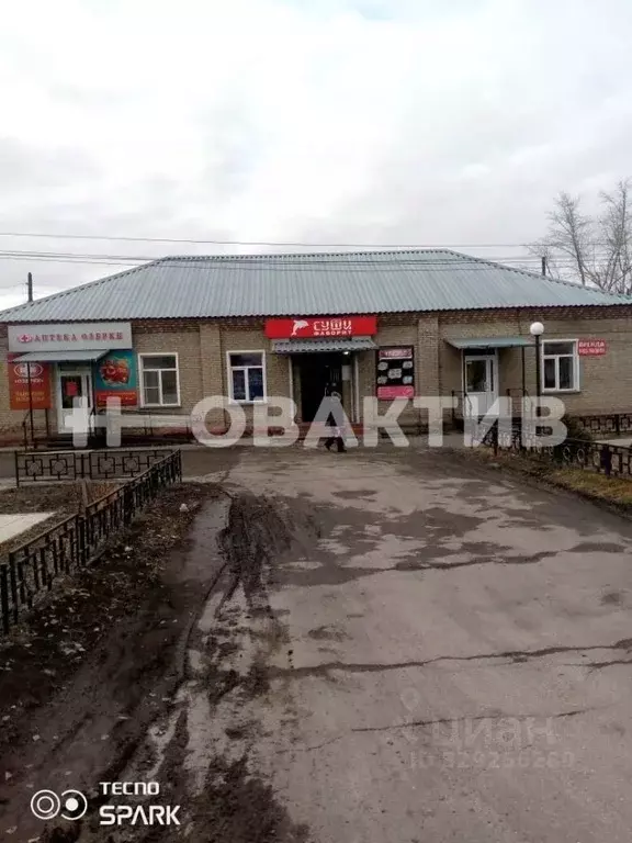 Помещение свободного назначения в Новосибирская область, Краснозерское ... - Фото 2