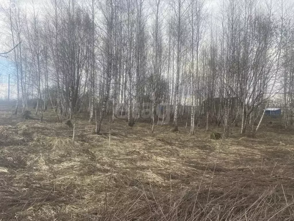 Участок в Тульская область, городской округ Тула, деревня Бежка (15 м) - Фото 2