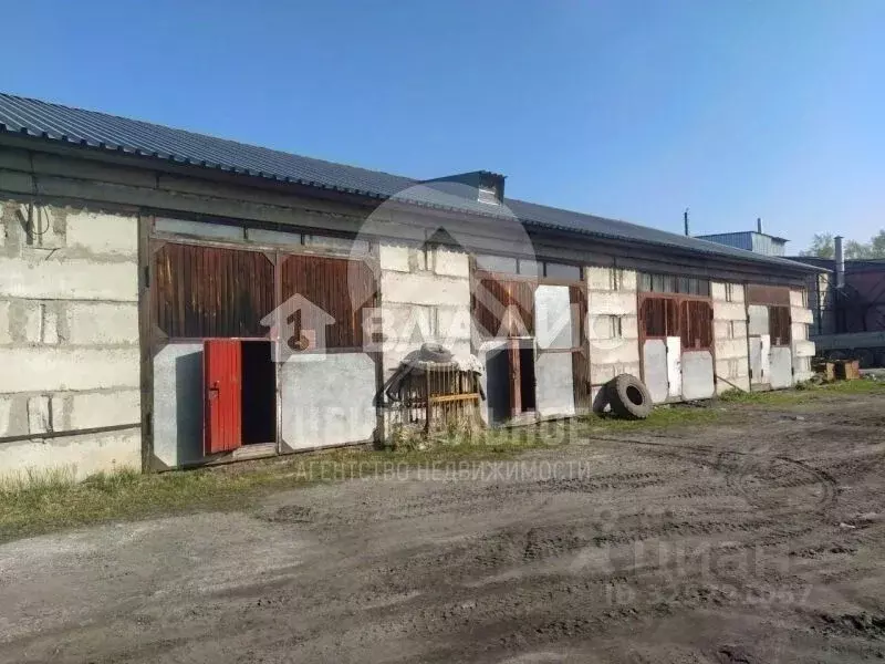 Склад в Новосибирская область, Новосибирск Таловая ул., 1А (50 м) - Фото 1