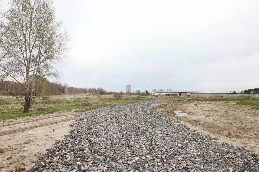 Участок в Тюменская область, Тюменский район, с. Щербак  (5.26 сот.) - Фото 0