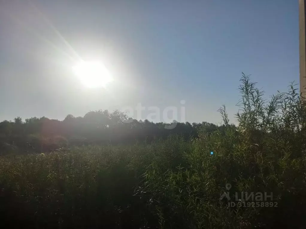 Участок в Амурская область, Благовещенск  (20.0 сот.) - Фото 0