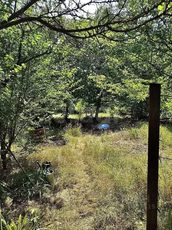 Участок в Ставропольский край, Ставрополь Виктория садовое ... - Фото 2