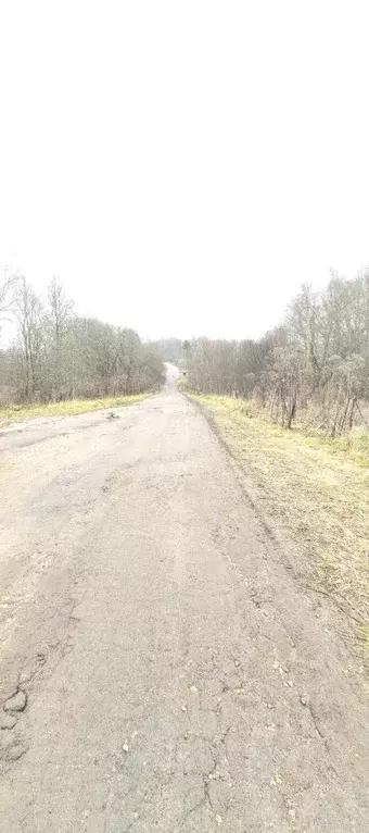 Участок в Смоленская область, Смоленский муниципальный округ, с. ... - Фото 2