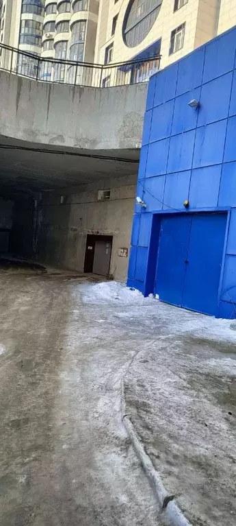 Гараж в Алтайский край, Барнаул ул. Папанинцев, 111 (19 м) - Фото 1