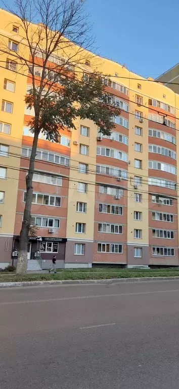 1-к. квартира, 38 м, 3/11 эт. - Фото 0