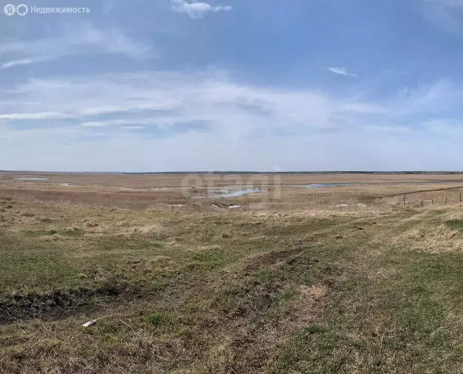 Участок в Исетский район, деревня Онуфриево (31.74 м) - Фото 0